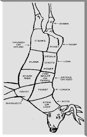 Deer Chart For Deer Processing Video