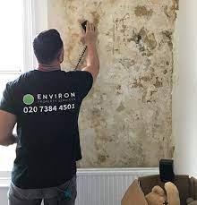 Noticed damp on internal walls? Should I Paint Over My Damp Walls