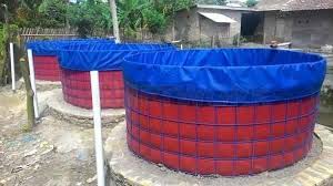 1 Penting Ini 7 Jenis Kolam Cocok Untuk Budidaya Ikan Lele Kolam Ikan Kolam Cocok