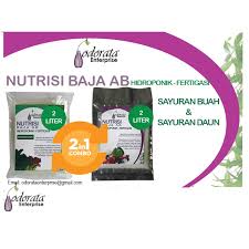 Bakso dibuat dengan dipadukan campuran bahan yakni tepung tapioka, garam, penyedap dan lainnya. Baja Ab Combo Set Sayuran Daun Dan Buahan 4 Liter Hidroponik Fertigasi Shopee Malaysia
