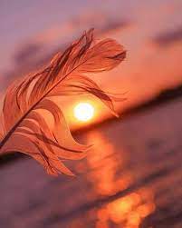 (definition of d/p from the cambridge business english dictionary © cambridge university press). 120 Whatsapp Status And Whatsapp Dps Ù…ÛŒØ±ÛŒ ÚˆØ§Ø¦Ø±ÛŒ Beautiful Profile Pictures Whatsapp Profile Picture Sunset Photography