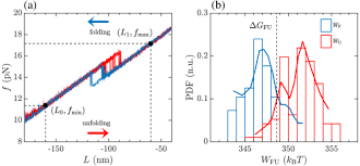 The page provides data about today's value of three hundred fifty lei in euros. Osa Optical Tweezers From Calibration To Applications A Tutorial