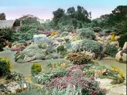 Edinburgh Rock Garden Rock Garden Design Rock Garden Rock Plants