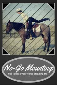 Pin By Steph S On 3horse 3 Horses Horse Training Horseback Riding