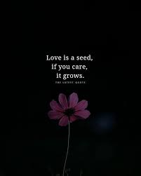 11102018 Love Is A Seed If You Care It Grows Too Late Quotes Inspirational Quotes Flower Quotes