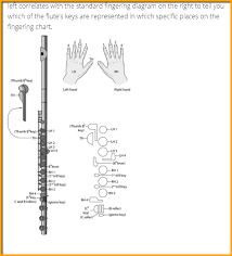 This video shows how to play all the notes on german soprano recorder. Fast Foolproof Way To Learn Flute Notes For Beginners Cheat Sheets