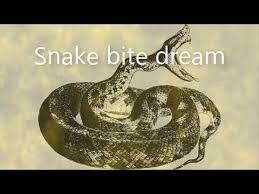 A Dream Is A Succession Of Images Ideas Emotions And Sensations That Usually Occur Involuntarily In The Mind During Certain Stages O Snake Bites Snake Dream