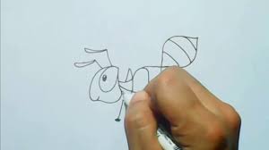 Misalnya video, kata kata, sampai berbagai gambar kocak. 35 Ide Contoh Gambar Sketsa Semut Tea And Lead