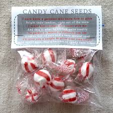 Today, i'm sharing a free printable candy cane patterns page that my boys have enjoyed doing. Candy Cane Seed Printable