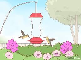 Hummingbirds won't be able to resist this vibrant feeder blooming with ingenuity and handcrafted appeal. How To Hang A Hummingbird Feeder 12 Steps With Pictures