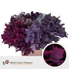 We did not find results for: Multi Color Flowers Home Facebook