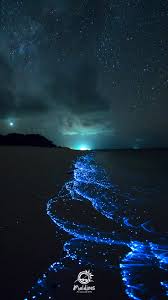 At night, the glowing outdoor cabana is the perfect place to watch the stars and the stingrays passing by. Maldives Free Wallpapers Beautiful Hd Background Images