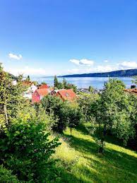 Idyllisch gelegen und gepflegt ist so ein haus oder eine wohnung mit seezugang der traum eines jeden urlaubers am bodensee Grundstuck Mit Sicht Auf Den Bodensee In Bodman Ludwigshafen Immobilien Brauer