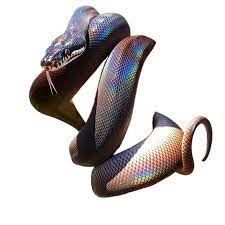 Iridescent Snake Snake Iridescent Cutout