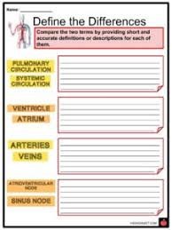 Image result for Cardiovascular Worksheets