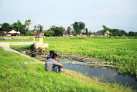 Waduk gondang di lamongan merupakan waduk yg pling dalam,jg g pernah bisa habis airnya,jdi keberadaan ikannya g perlu di. Waduk Gondang Dan Prijetan Tak Kunjung Dikeruk