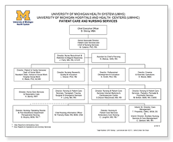 Comprehensive Uab Hospital Nursing Organizational Chart 2019