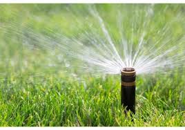 5 Best Sprinkler Heads 2021 Top Picks For Plants Watering Best Lawn Sprinkler Lawn Sprinklers Lush Lawn