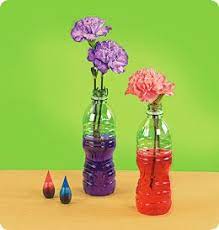 White Carnations See Through Water Bottles Red Blue And Green Food Coloring Scissors And You Can Sho Science For Kids Preschool Science Spring Activities