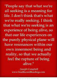 People Say That What We Re All Seeking Is A Meaning For Life I Don T Think That S What We Re Really Seeking I Think That What We Re Seeking Is An Experience O