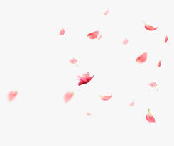 Polish your personal project or design with these falling leaves transparent png images, make it even more personalized and more attractive. Transparent Falling Flowers Png Flowers Falling Gif Transparent Png Download Transparent Png Image Pngitem