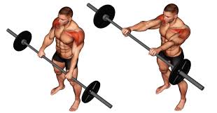 Neutral grip dumbbell front raise. Barbell Front Raise Exercise How To Tips Variations And Video Guide