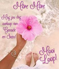 Pin By Zeta Sue Tiley On 1b Boodskapies Goeie More 1 Afrikaans Goeie More Hag