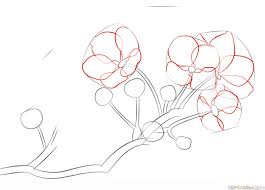 We did not find results for: How To Draw A Cherry Blossom Step By Step Drawing Tutorials For Kids And Beginners Cherry Blossom Drawing Flower Drawing Tutorials Flower Drawing