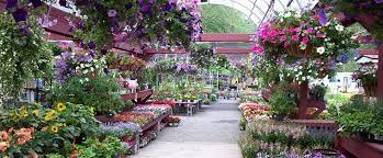 Image Result For Garden Nurseries Albuquerque Rehm S Nursery And Garden Center Reviews Nurseries Gard Garden Nursery Plants Of The Southwest Family Garden