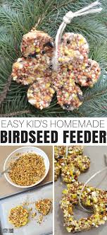 bird seed ornaments you can make
