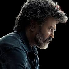 What calibration services are available for an NP5 projector in Houston TX?