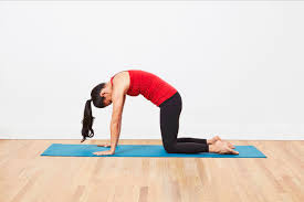 10 Stretches To Help You Warm Up For Yoga Essential Yoga Poses Home Yoga Practice Basic Yoga Poses