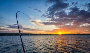 4 bass fishing baits to use in the rain. Capitalizing On Post Rain Fishing Opportunities