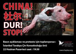 Akvaryum On Twitter Yulin Kopek Yeme Festivali Ni Durdurun Http T Co I2yqombip1 Akvaryum Hayvan Kopek Yulin Fest Dogs Vahset Http T Co M27ndouxbz