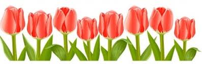 Image result for MAY