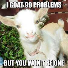 I Goat 99 Problems But You Won T Be One Funny Goat Meme