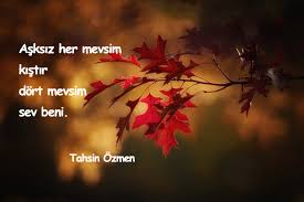 Sevenler böyle düşünmez yalnız olanlar kötü davranıp herkesi kendisinden uzaklaştırırlar. Mevsimler Ile Ilgili Sozler Sevgi Mesajlari