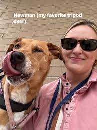 As most of you know, this group is paused from Thursdays to Monday AM. The  exception will be next week when we are closed from Tuesday evening-Sunday  AM for Thanksgiving. As always,