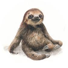 Fursdays 1 Paintings For Ants Sloth Art Sloth Tattoo Sloth Drawing