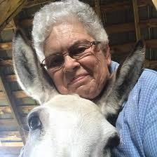 Barnett, Missouri Wikipedia tells us that Barnett is a city in Morgan  County, Missouri, United States. The population was 158 at the 2020 census,  down from 203 in 2010. Variant names were "