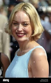 Sharon foetus or persimmon hi-res stock photography and images