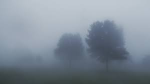 Florida institute of government (academic & science » universities). Sales The Fog Will Lift Soon Manufacturing Net