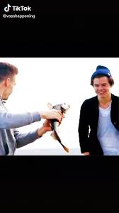 Pin On One Direction