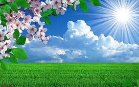 Feel free to download all of these desktop background pictures of nature for free. Nature Background Wallpaper Enjpg