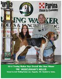 We supply trade quality diy and home improvement products at great low prices. 2016 Twbfa Yearbook By Grant Noeske Issuu