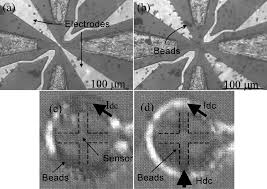 Here, you can find stylish symmetrical sectional sofas that cost less than you thought possible. Sensing Magnetic Nanoparticles Chapter 6 Magnetic Nanoparticles In Biosensing And Medicine