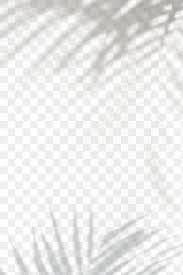 Palm Leavs Shadow Frame Design Element Free Image By Rawpixel Com Nunny Shadow Frame Shadow Photography Frame Design