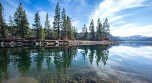 Potable water is clean water that's safe to drink, brush your teeth with, wash your hands with, and use for preparing food. Forest Restoration In Nevada