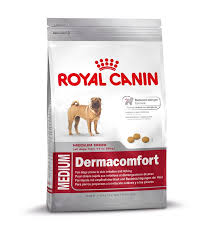 Royal Canin Medium Dermacomfort Alleinfuttermittel Fur Ausgewachsene Mittelgrosse Hunde 11 Bis 25 Kg Medium Katten