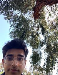 Stanford Students Love Trees